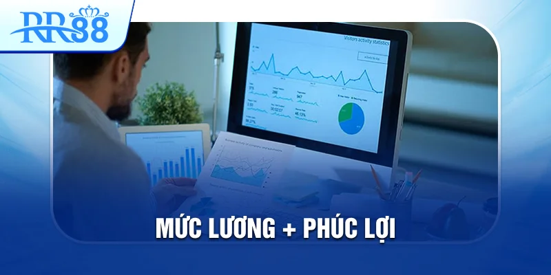 Chuyên Viên SEO RR88 - Search Engine Optimization 3 mức lương seo rr88